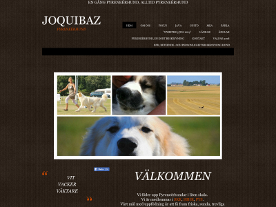 joquibaz.se snapshot