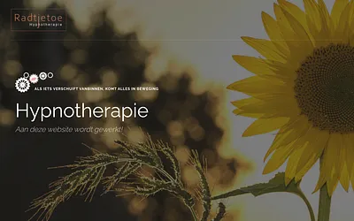 radtjetoe.nl snapshot
