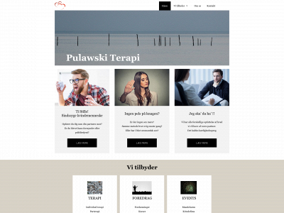 pulawskiterapi.dk snapshot