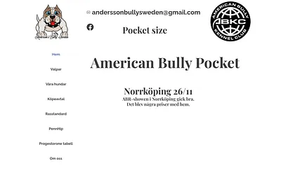 anderssonbullysweden.se snapshot