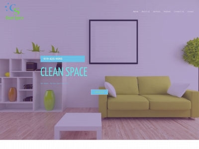 trycleanspace.com snapshot