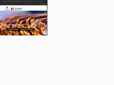elektrisch-varen.com snapshot