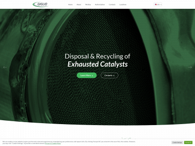 gigliorecycling.com snapshot