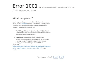 dinekonomipartner.se snapshot