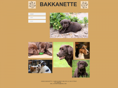 bakkanette.dk snapshot