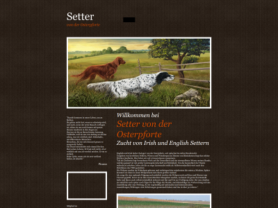 settervonderosterpforte.de snapshot