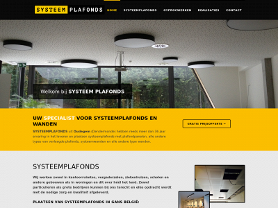 systeemplafonds.biz snapshot