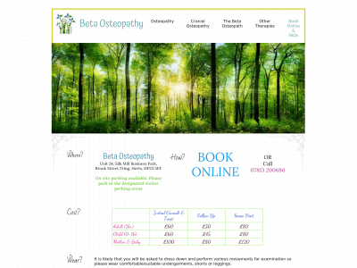 betaosteopathy.co.uk snapshot