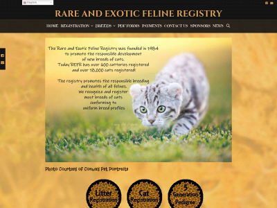 rareexoticfelineregistry.com snapshot