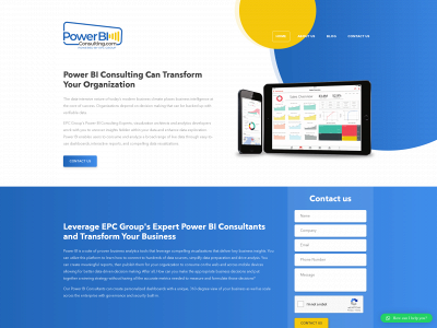 powerbiconsulting.com snapshot