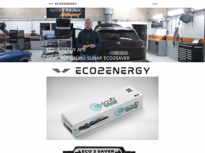 eco2saver.com snapshot