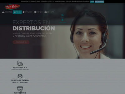 angellinares.com snapshot