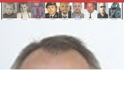 nielsendanmark.dk snapshot