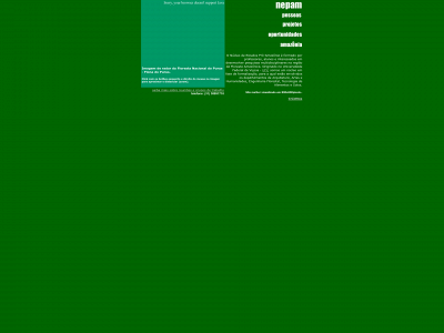 nepam.org snapshot