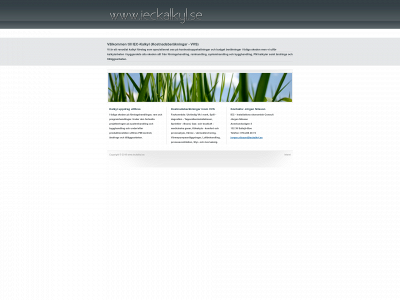 ieckalkyl.se snapshot