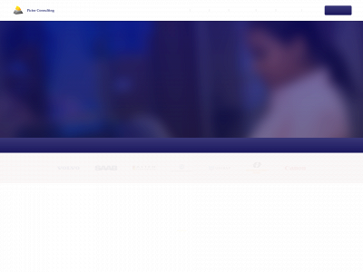 pictorab.com snapshot