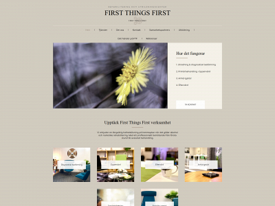 firstthingsfirst.se snapshot