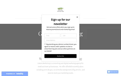 gatorzmarketing.weebly.com snapshot