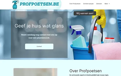 profpoetsen.be snapshot
