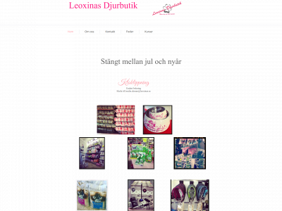 leoxinas.se snapshot
