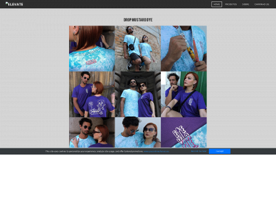 lyelevate.weebly.com snapshot