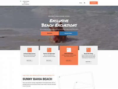beachboundexpress.com snapshot
