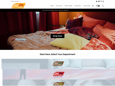 justbuytheproduct.com snapshot