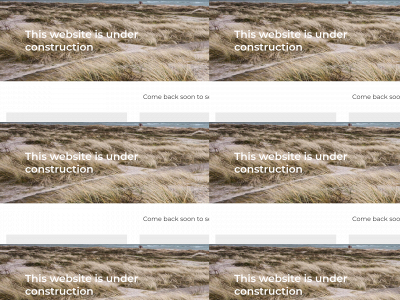 nextevolution.se snapshot
