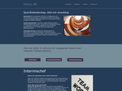 mesla.se snapshot