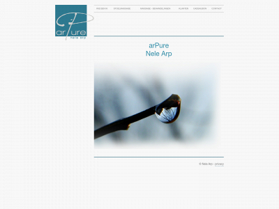 arpure.be snapshot