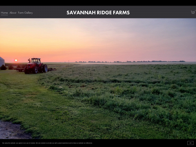 savannahridgefarms.com snapshot