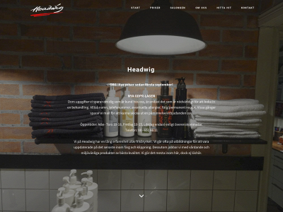 salongheadwig.se snapshot