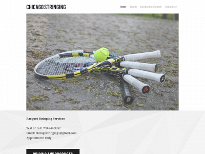 chicagostringing.weebly.com snapshot