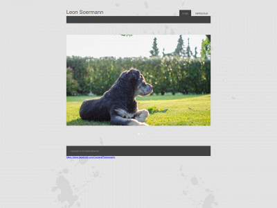 soermann.com snapshot