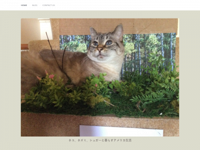 happyshippo.com snapshot