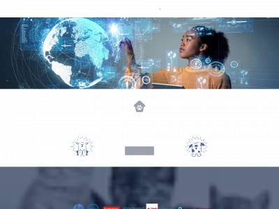 januinesystems.com snapshot