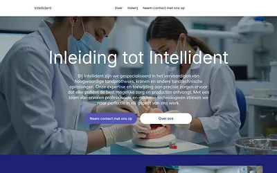 intellidentlab.nl snapshot