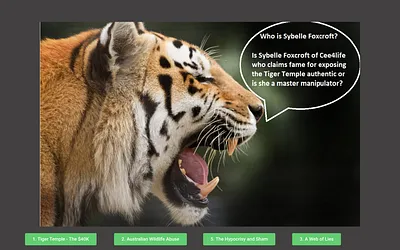sybelleunmasked.com snapshot