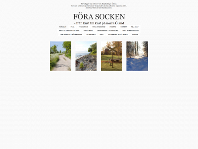 forasocken.se snapshot