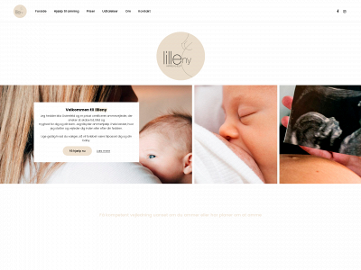 lilleny.dk snapshot