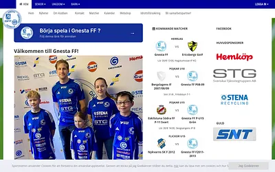 gnestaff.com snapshot