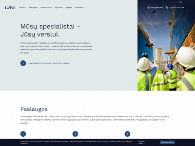 elviva.lt snapshot