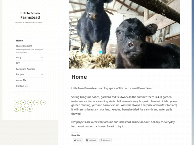 littleiowafarmstead.com snapshot