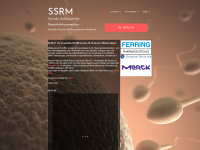 ssrm.se snapshot