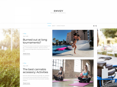 envizy.com snapshot