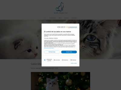 indalitosiberiancats.com snapshot