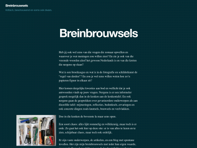 frjr.nl snapshot