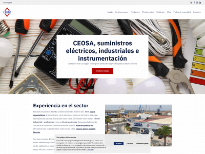 tiendaceosa.es snapshot