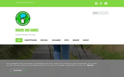 brainsandgames.be snapshot