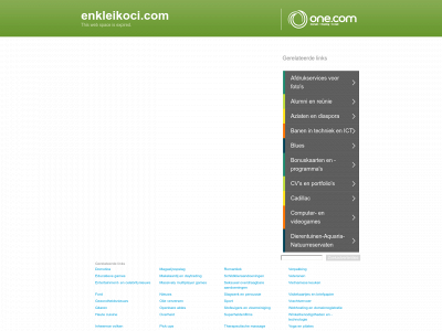 enkleikoci.com snapshot